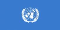 Licitaciones Internacionales vigentes de Naciones Unidas - Sectores Varios 
