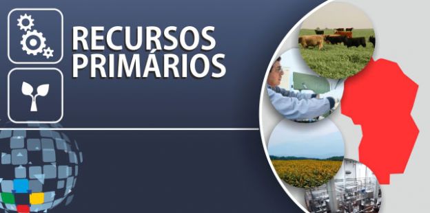 Recursos Primarios