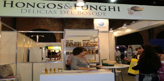 Cordobese company Hongos & Funghi honored with international  award