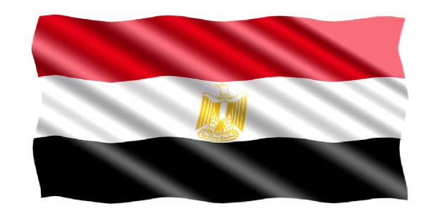 MISIN COMERCIAL AGROINDUSTRIAL A EGIPTO 2017 