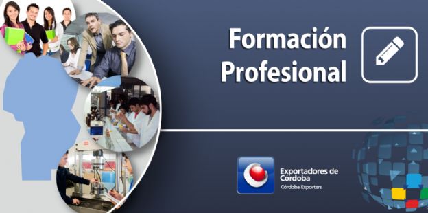 Formacin Preprofesional