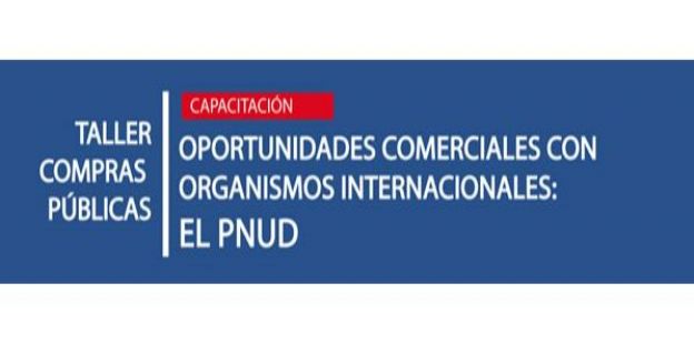 Oportunidades comerciales con Organismos Internacionales: el PNUD