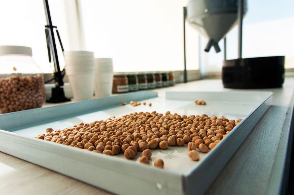 Crdoba Exports More: Local Chickpea Gains Ground in the International Market