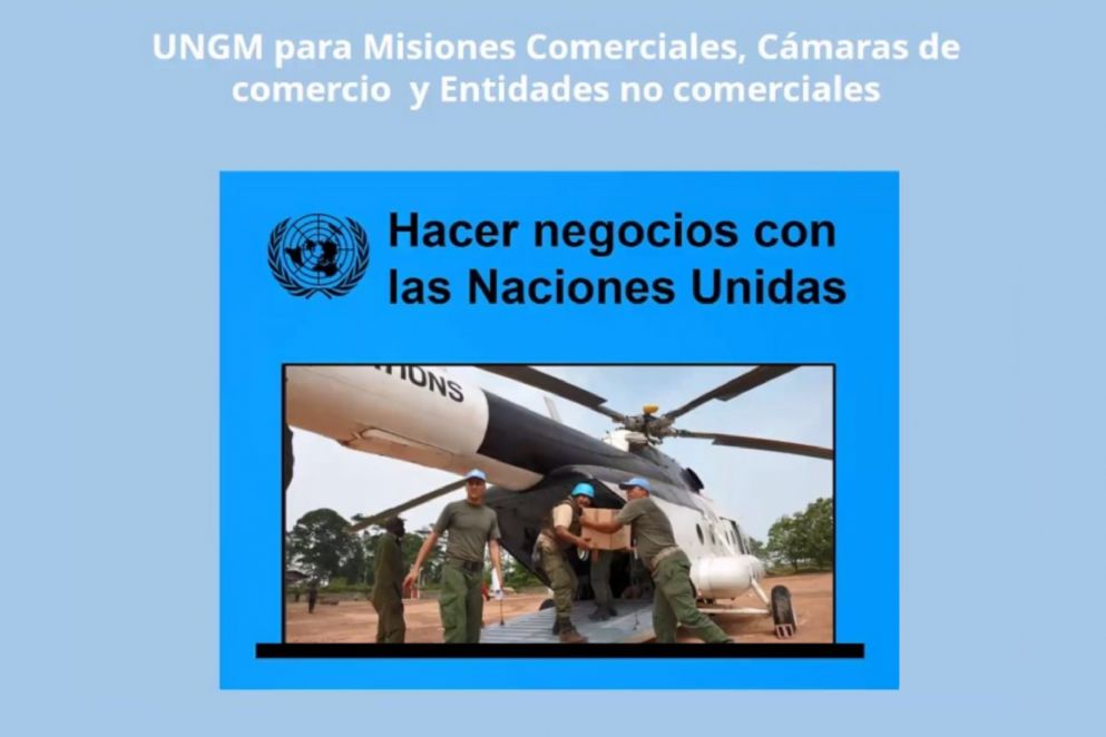Mercado Global de las Naciones Unidas: Herramientas para acompaar a las empresas argentinas