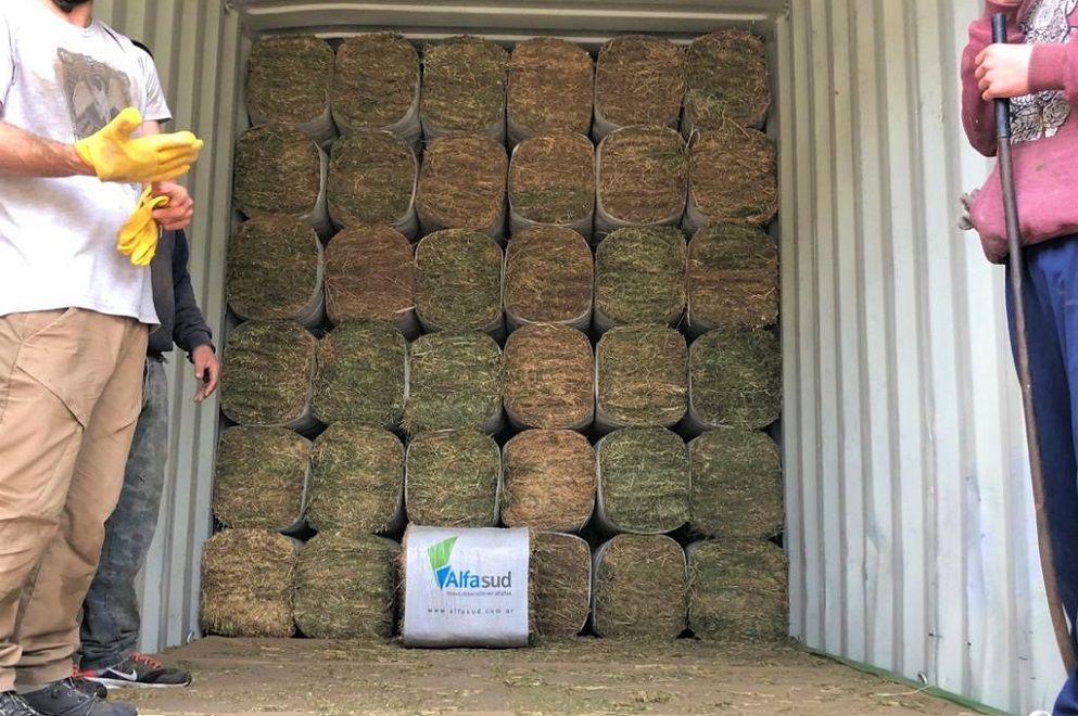 Innovacin cordobesa para la exportacin 
de alfalfa