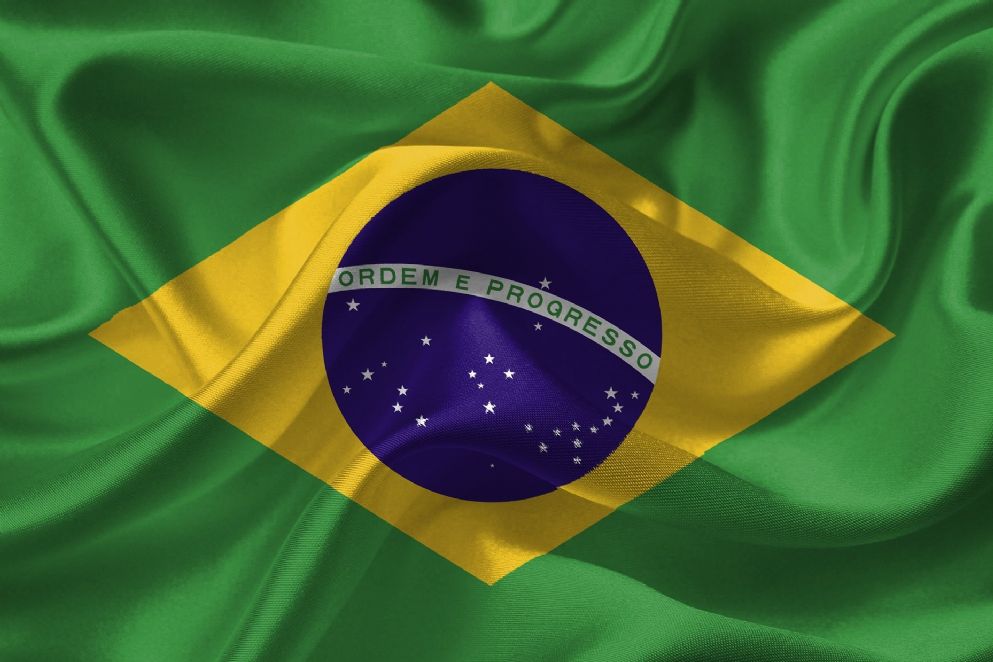 Misin Comercial para el Sector Alimentos al Sur de Brasil: Edicin Virtual