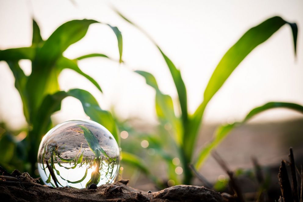 Tecnologa agrcola: dos modalidades de participacin en NAMPO 2023