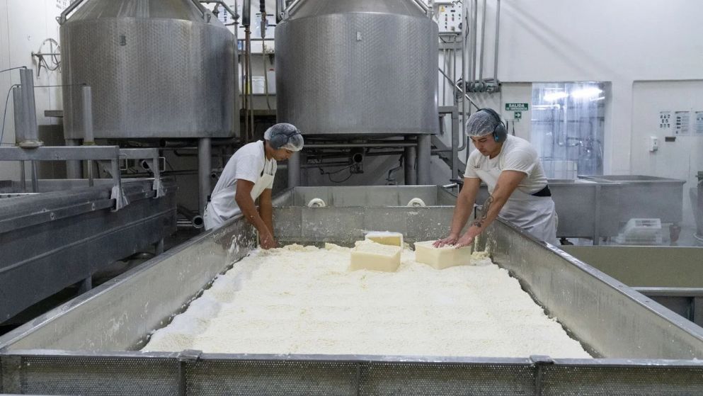 Pyme cordobesa desarrolló un queso sin lactosa y ya lo exporta a Brasil